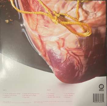 LP Pinkshift: Love Me Forever CLR | LTD