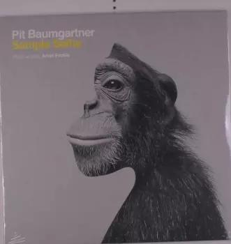 Pit Baumgartner: Sample Selfie