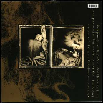 LP Pixies: Come On Pilgrim