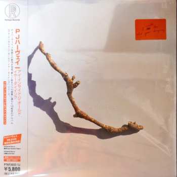 LP PJ Harvey: I Inside The Old Year Dying