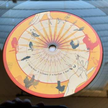 LP Plants And Animals: The Jungle CLR