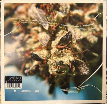 2LP Plateau: Kushbush