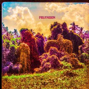 CD Polymoon: Chrysalis