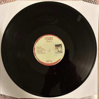 LP PONY: Clearly Cursed