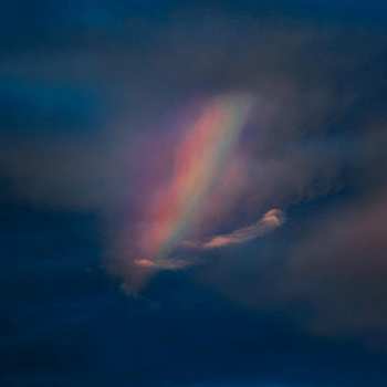 LP Pool Kids: Pool Kids CLR | LTD