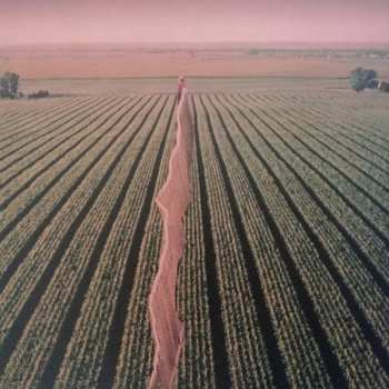 LP Possible Humans: Everybody Split 