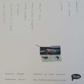 LP Possible Humans: Everybody Split 