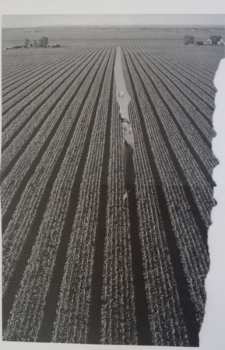 LP Possible Humans: Everybody Split 