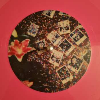 LP Poster Paints: Poster Paints CLR