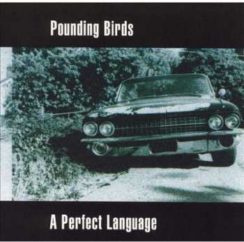 Album Pounding Birds: A Perfect Language