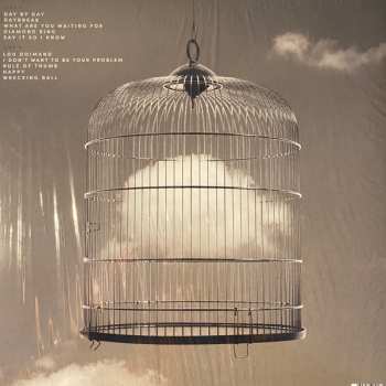 LP Powderfinger: Unreleased 1998 – 2010 CLR