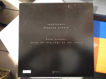 LP Pray For Teeth: From The Dry Edge Of The Shore