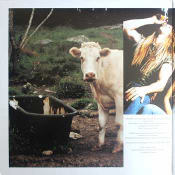 2LP Pride & Glory: Pride & Glory PIC