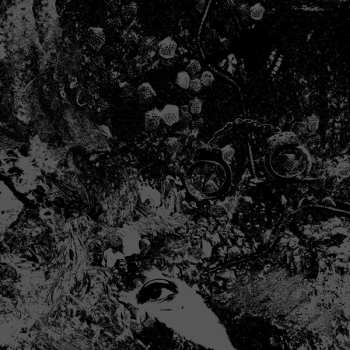 LP Primitive Man: Split