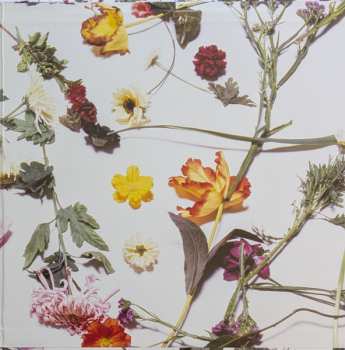 LP Prince And The Revolution: Purple Rain LTD | NUM