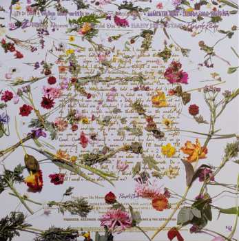 LP Prince And The Revolution: Purple Rain LTD | NUM