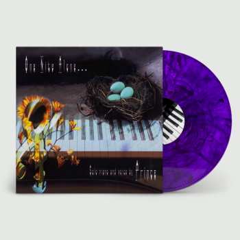 LP Prince: One Nite Alone... Solo Piano And Voice By Prince LTD | CLR