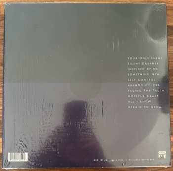 LP Principe Valiente: In This Light