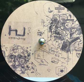 2LP Proc Fiskal: Insula