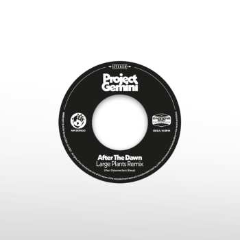 SP Project Gemini: After the Dawn (Large Plants Remix)