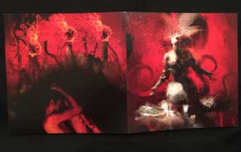 2CD Projected: Ignite My Insanity