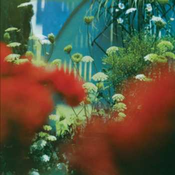 LP Pulled Apart By Horses: The Haze LTD | CLR
