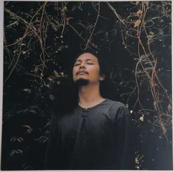 LP Pure Wrath: Hymn To The Woeful Hearts CLR