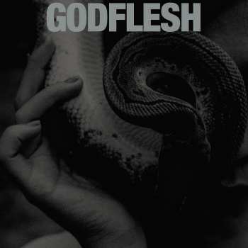 LP Godflesh: Purge