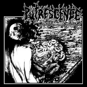 CD Putrescence: Fatal White Pustules Upon Septic Organs