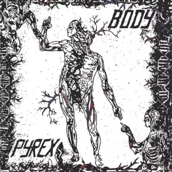 Pyrex: Body