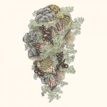 CD Pyrithe: Monuments to Impermanence  DIGI