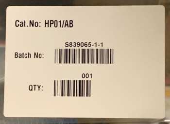 2LP QAALM: Resilience & Despair