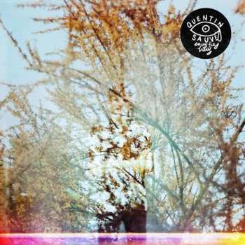 LP Quentin Sauvé: Enjoy The View