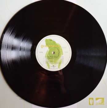 LP Quintorigo: Rospo