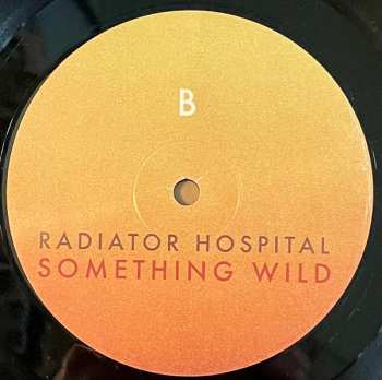 LP Radiator Hospital: Something Wild