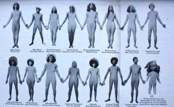 LP Galt MacDermot: DisinHAIRited