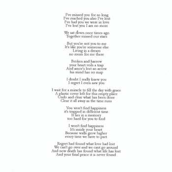 CD Rain Paint: Disillusion Of Purity