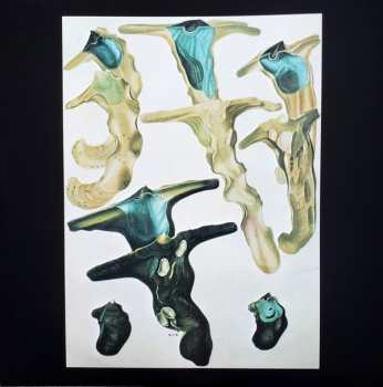 LP Rainforest Spiritual Enslavement: Jellyfish Reproduce Black Magic