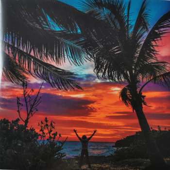 2LP Lenny Kravitz: Raise Vibration