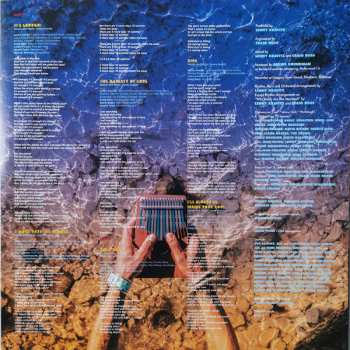 2LP Lenny Kravitz: Raise Vibration