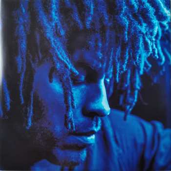 2LP Lenny Kravitz: Raise Vibration