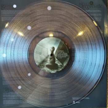 LP Raised Fist: Veil Of Ignorance LTD | CLR