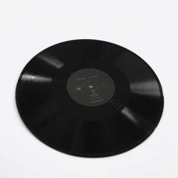 LP Raoul Vignal: The Silver Veil