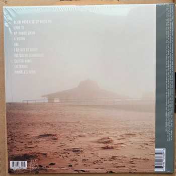 LP Ratboys: Printer's Devil CLR