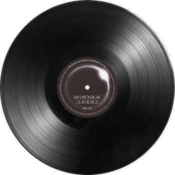 LP Ray Lamontagne: Ouroboros