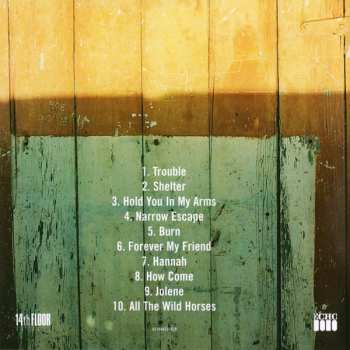 CD Ray Lamontagne: Trouble