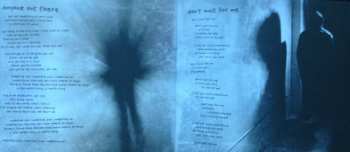 CD Ray Wilson: Makes Me Think Of Home
