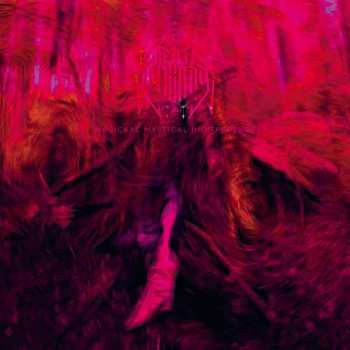 Album Rebel Wizard: Magickal Mystical Indifference