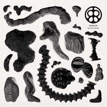 Album Rejoicer: Spiritual Sleaze