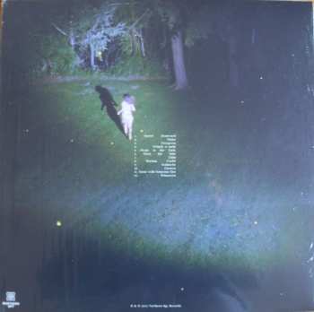 LP Renata Zeiguer: Picnic In The Dark